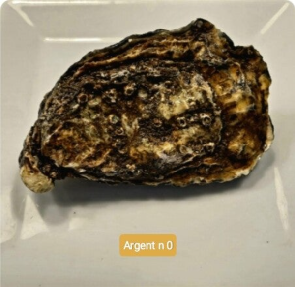 ARGENT N 0