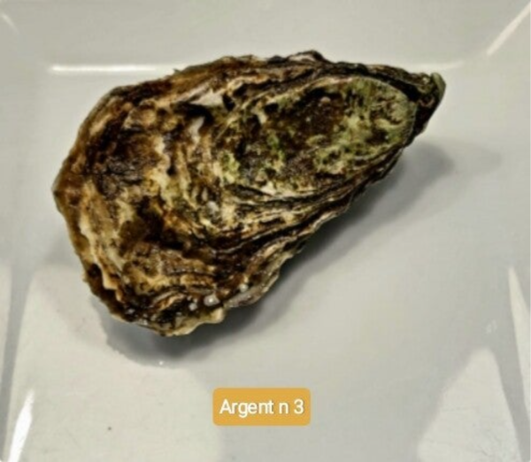 ARGENT N 3