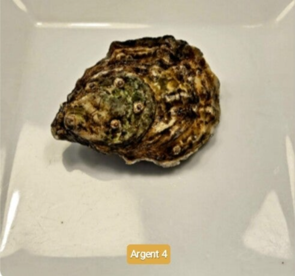 ARGENT N 4