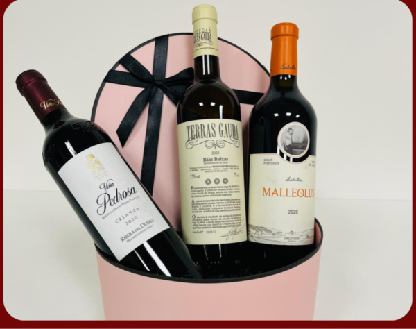 BOMBONERA CESTA REGALO GOURMET - Imagen 2