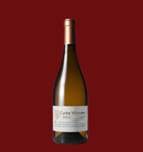 CARLOS VILLANUEVA GODELLO - Imagen 2