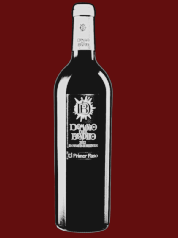 EL PRIMER PASO. BODEGA DOMINIO DEL BENITO . ZONA TORO - Imagen 2