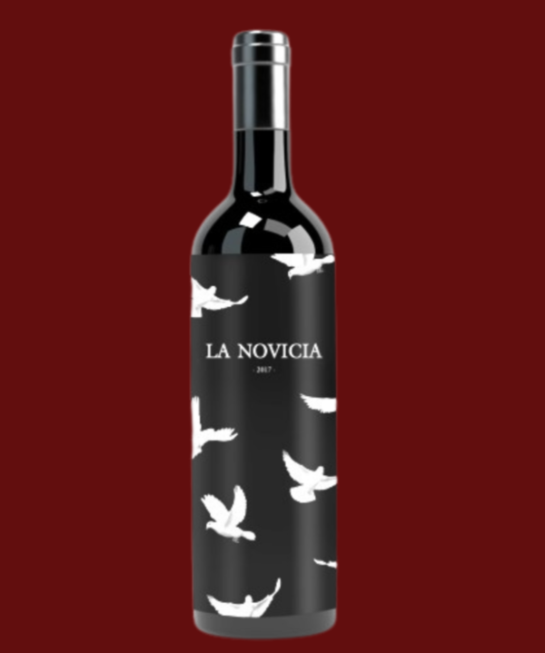 LA NOVICIA - Imagen 2