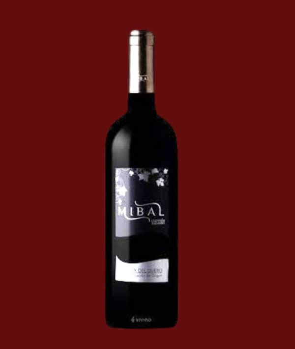 MIBAL SELECCIÓN - Imagen 2