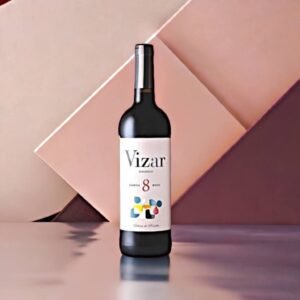 VIZAR BARRICA